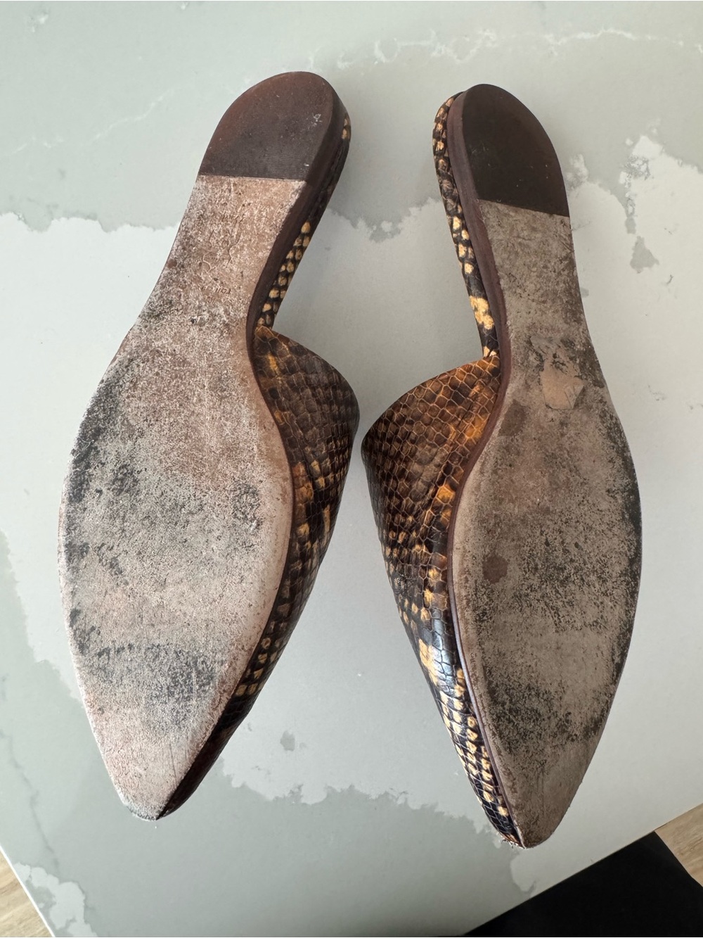 Tory Burch Brown Snakeskin Eleanor Mule Leather Slip-On | Size 7.5 - Picture 3 of 5